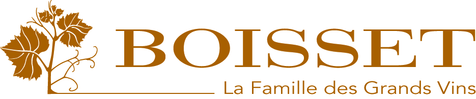 logo boisset Copie